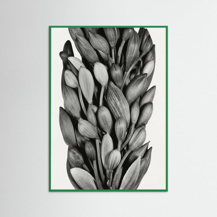 Green Wood Budding Forms