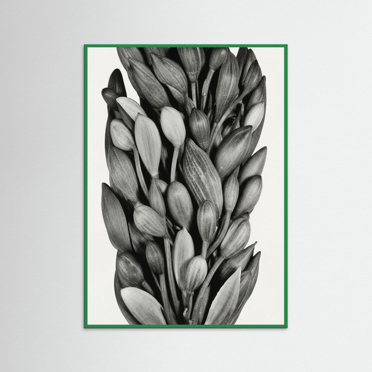 Green Wood Budding Forms