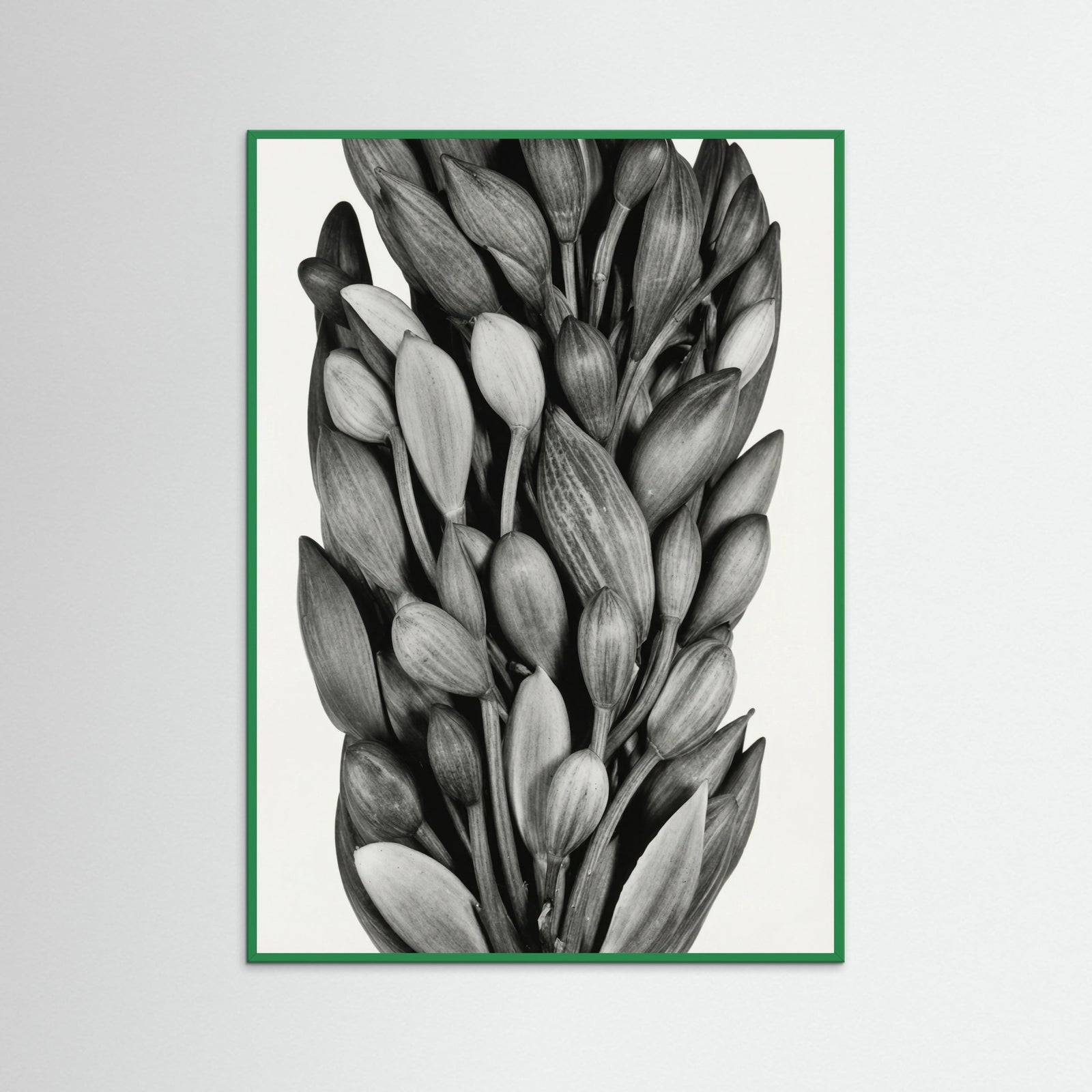 Green Wood Budding Forms