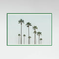 Póster Cali Palms – póster e impresión artística