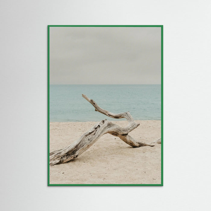 Green Wood Coastal Seren