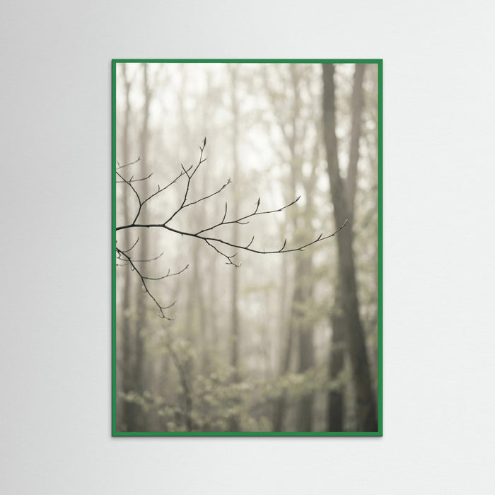 Green Wood Coastal Serenity