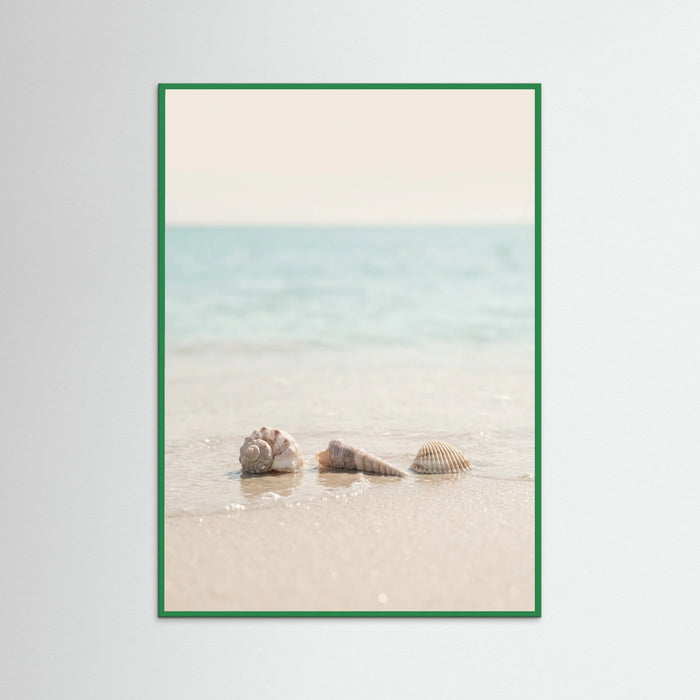 Green Wood Coastals Serenity