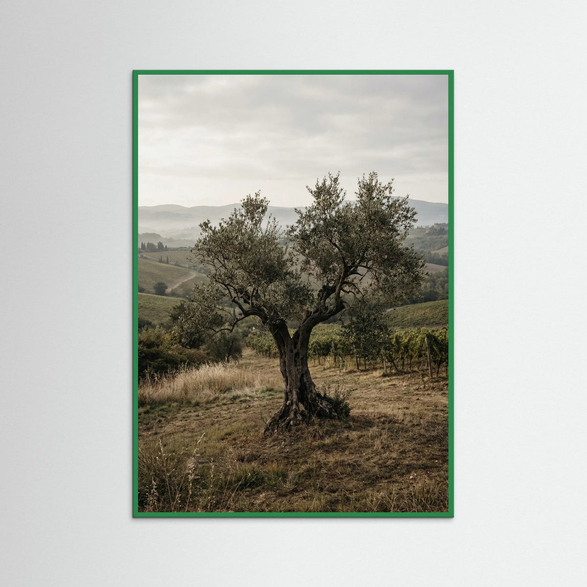 Green Wood Cypress Path