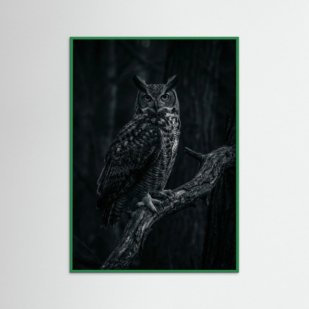 Green Wood Dark Congregation