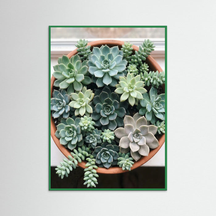 Green Wood Desert Bloom