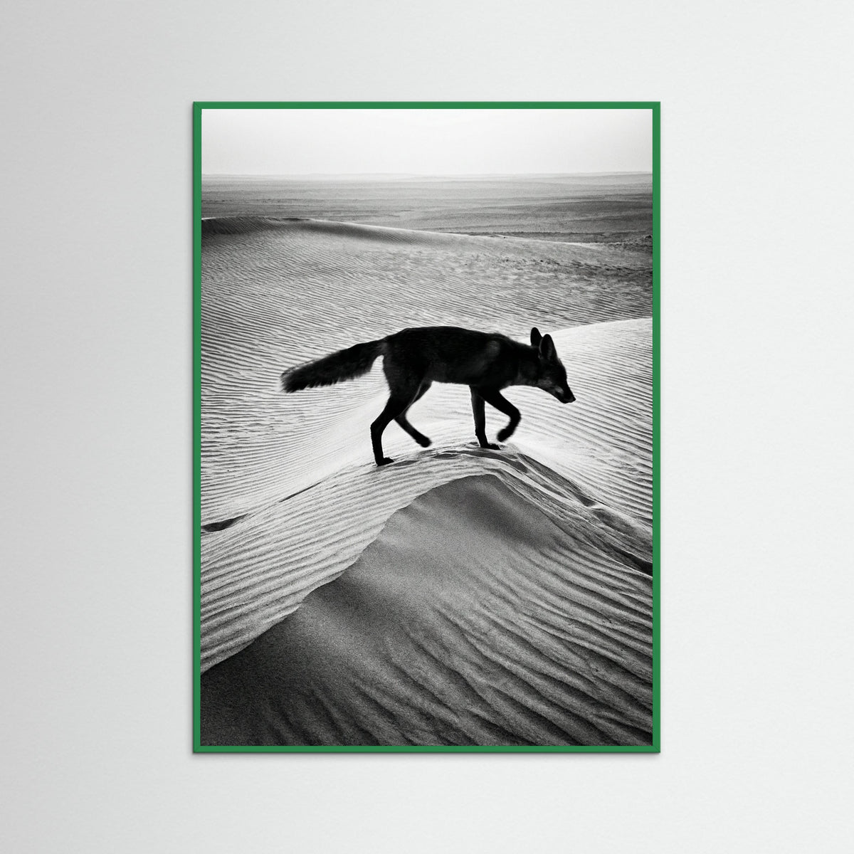 Green Wood Desert Spirit