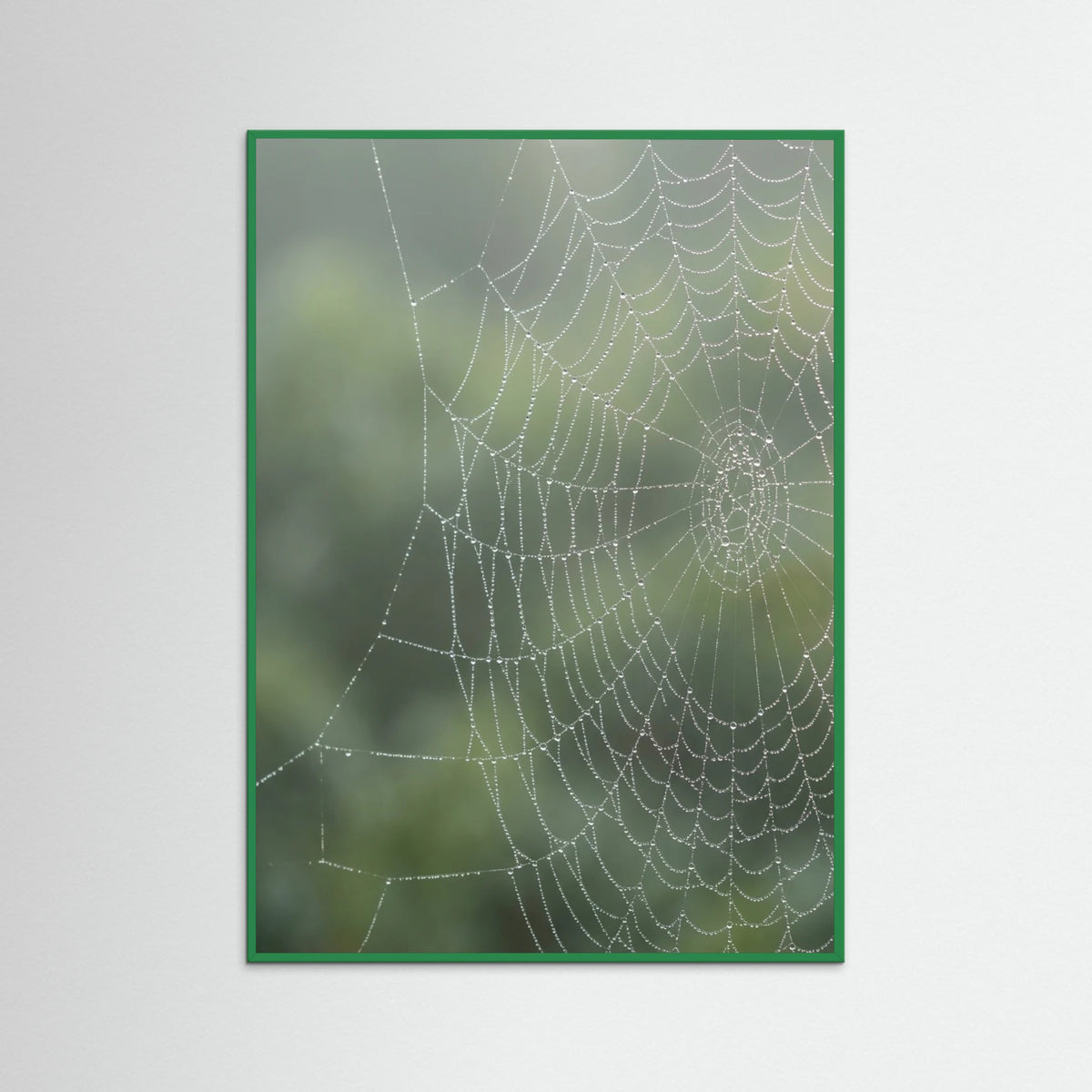 Green Wood Dew Kissed