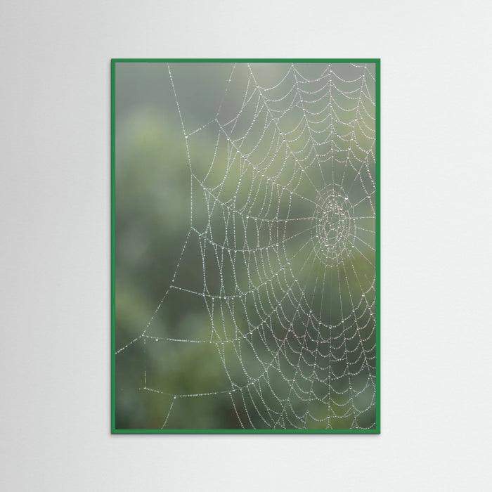 Green Wood Dew Kissed
