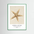 Affiche Estrella De Mar – affiche et impression d’art