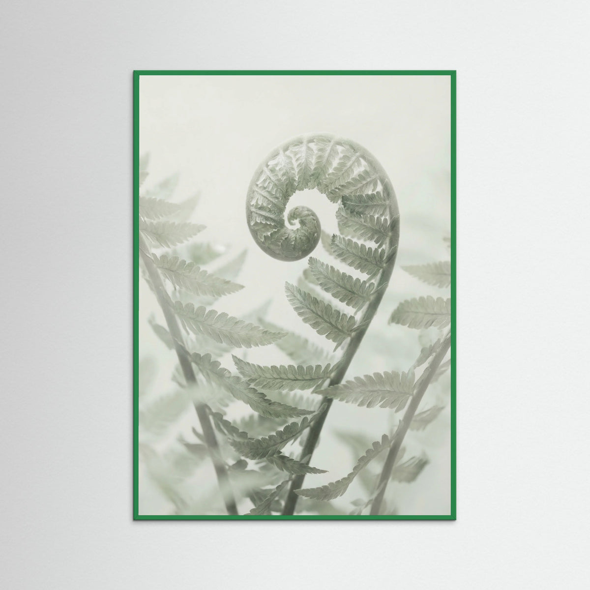 Green Wood Ethereal Eucalyptus