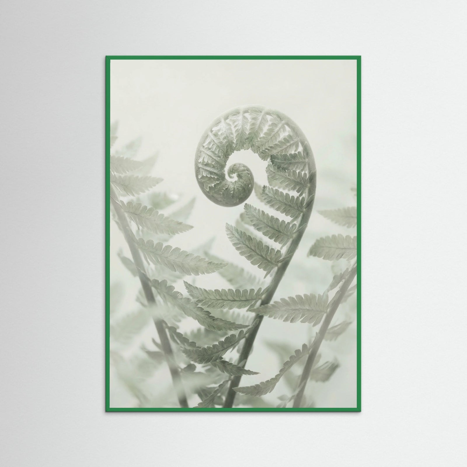 Green Wood Ethereal Eucalyptus