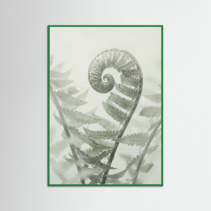 Green Wood Ethereal Eucalyptus