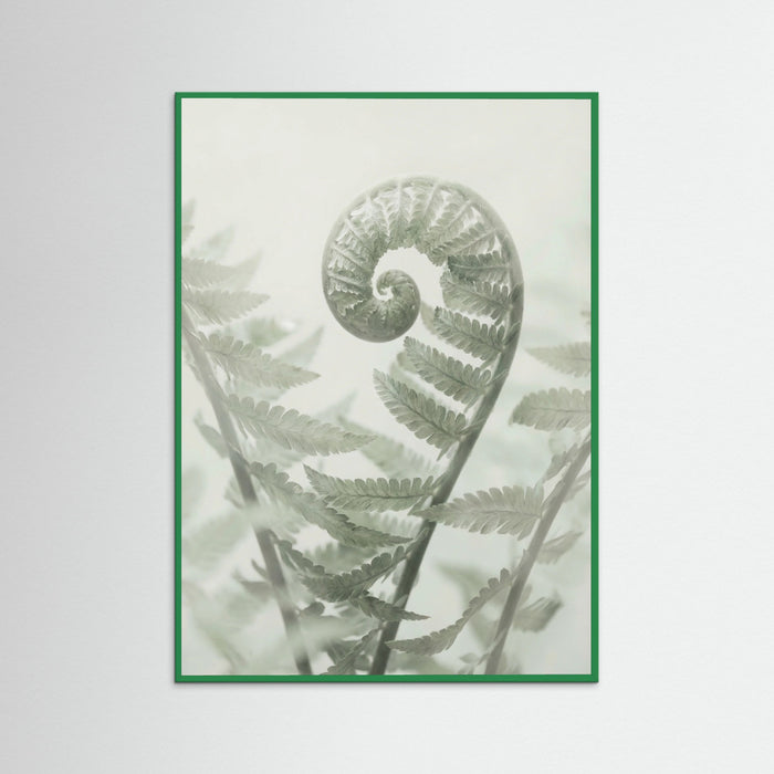 Green Wood Ethereal Eucalyptus