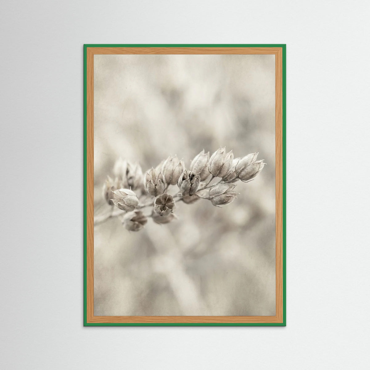 Green Wood Faded Whisper