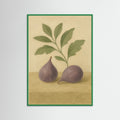 Green Wood Fig study