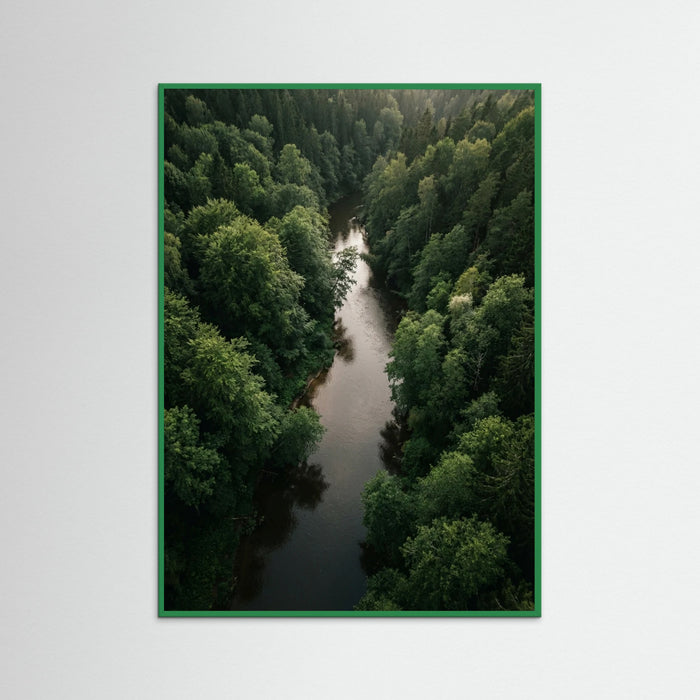 Green Wood Forest Traverse