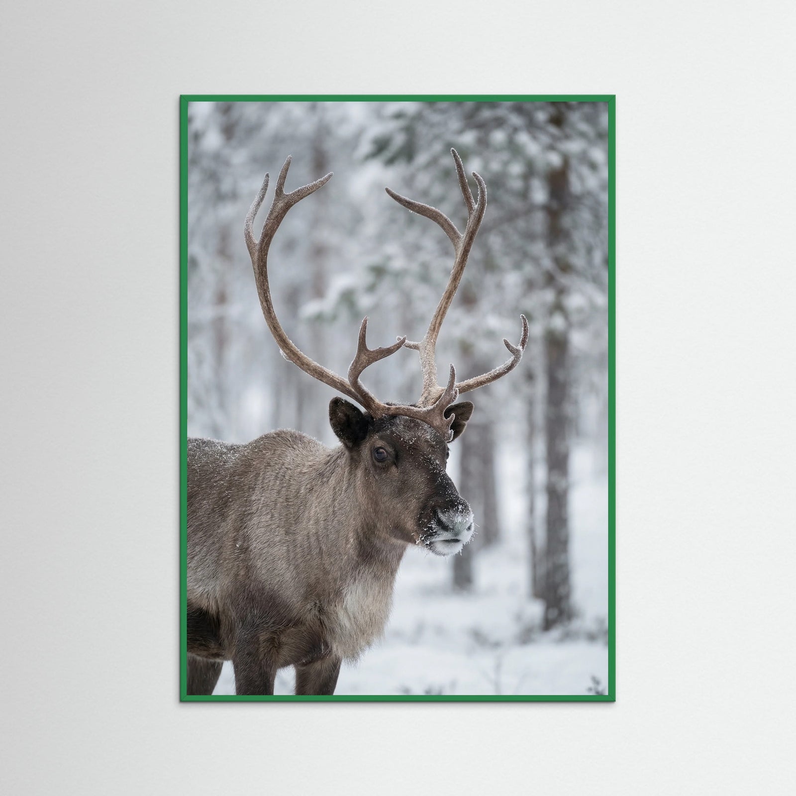 Green Wood Frosty Highlands