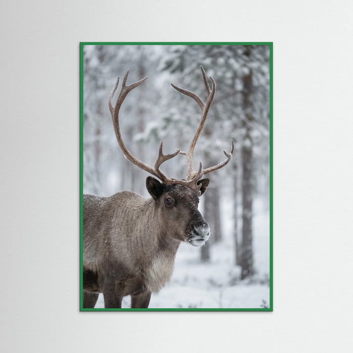 Green Wood Frosty Highlands
