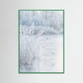 Green Wood Frozen Reflections