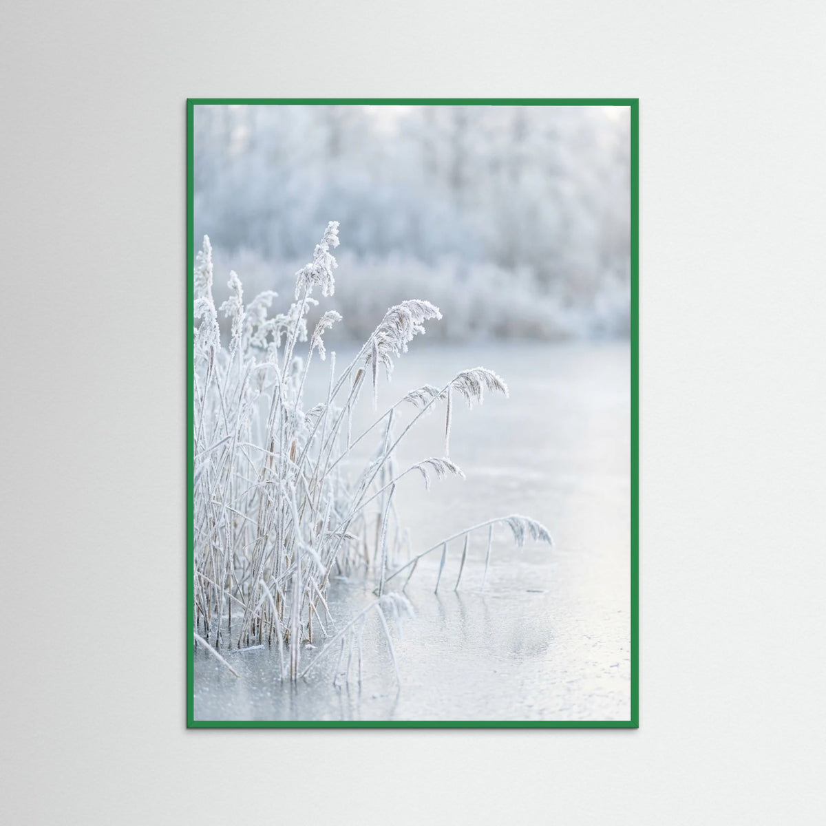 Green Wood Frozen Reflections