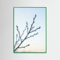Green Wood Frozen Whisper