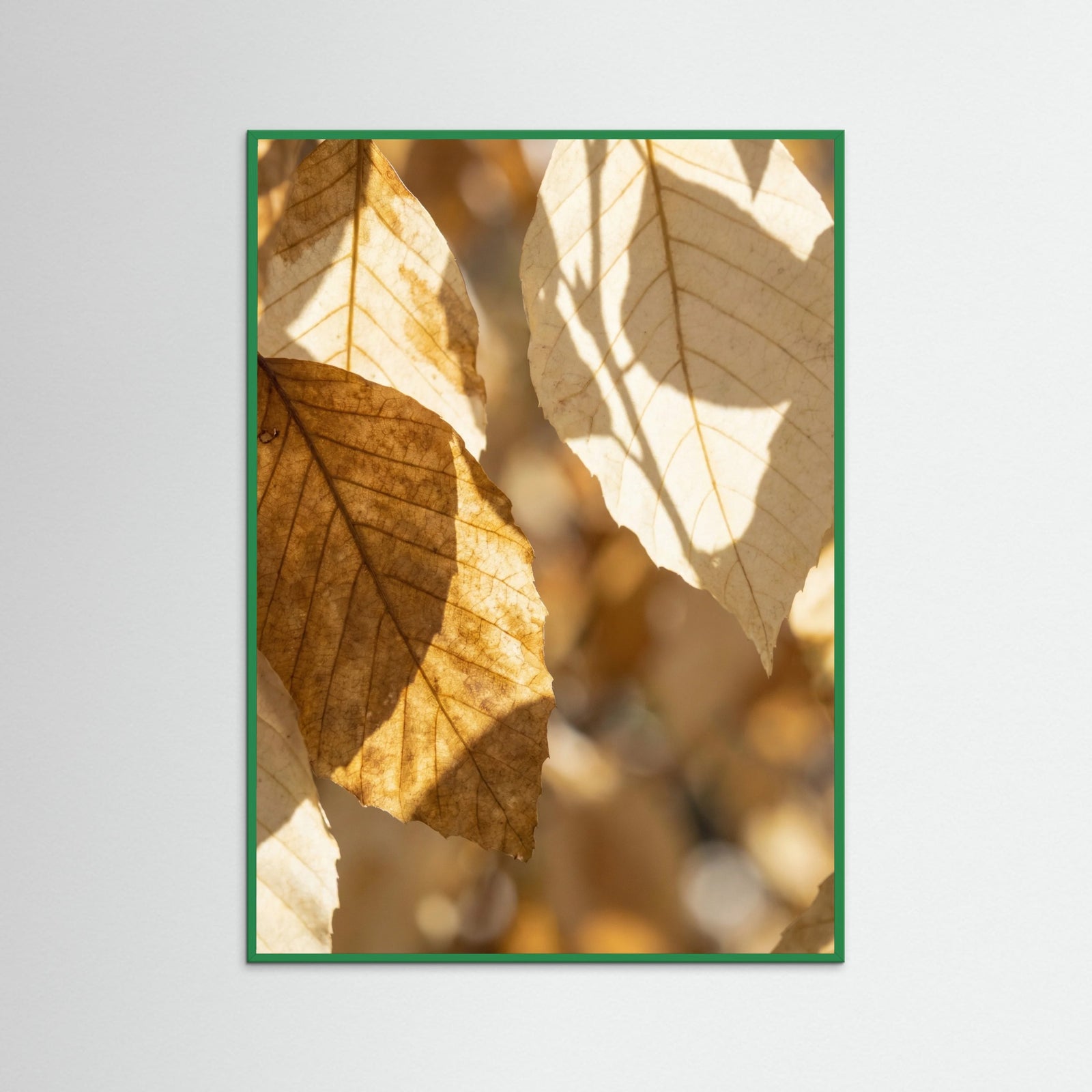 Green Wood Golden Ripples