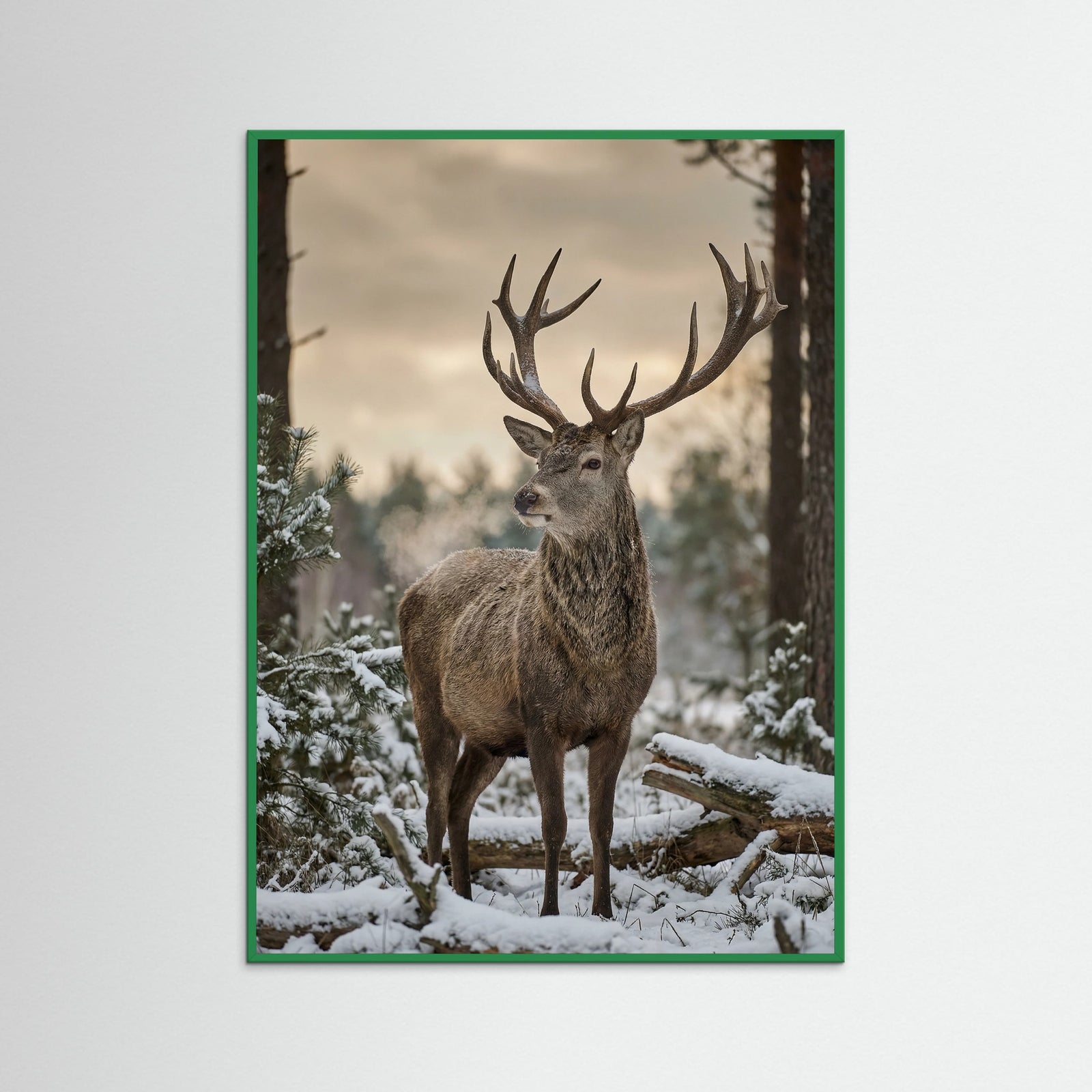 Green Wood Highland Winter