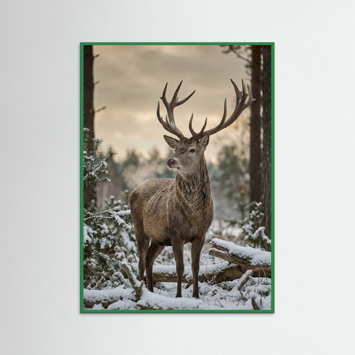 Green Wood Highland Winter