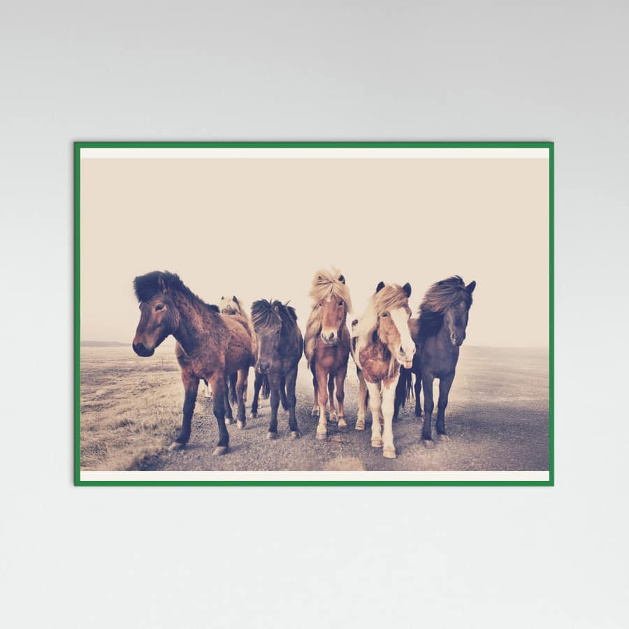 Poster Horses – poster e stampa artistica