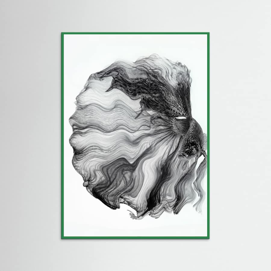 Plakat INK BETTA – plakat i druk artystyczny