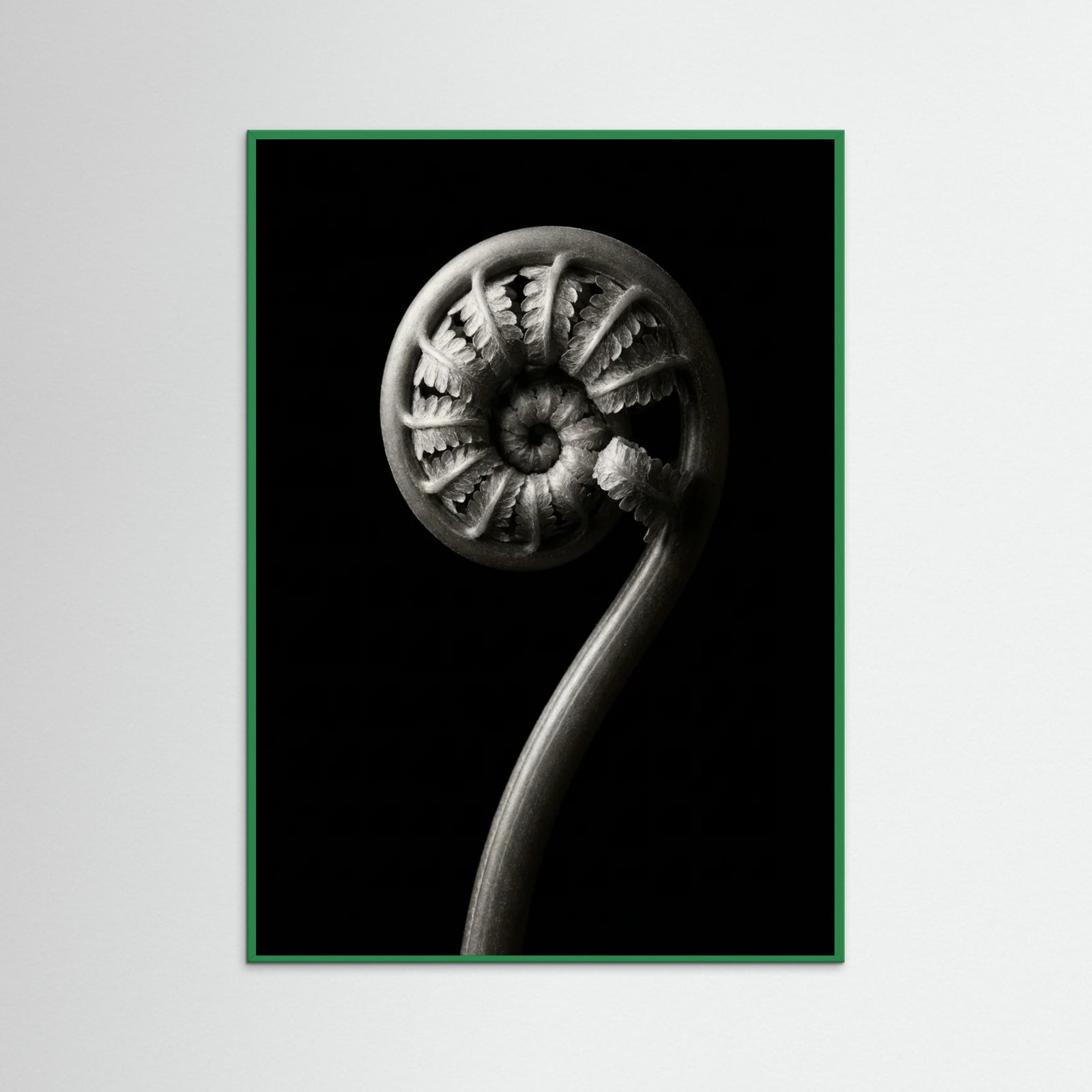 Green Wood Luminous Curve