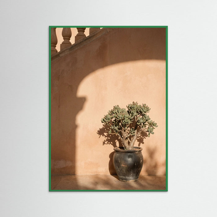 Green Wood Mediterranean Calm