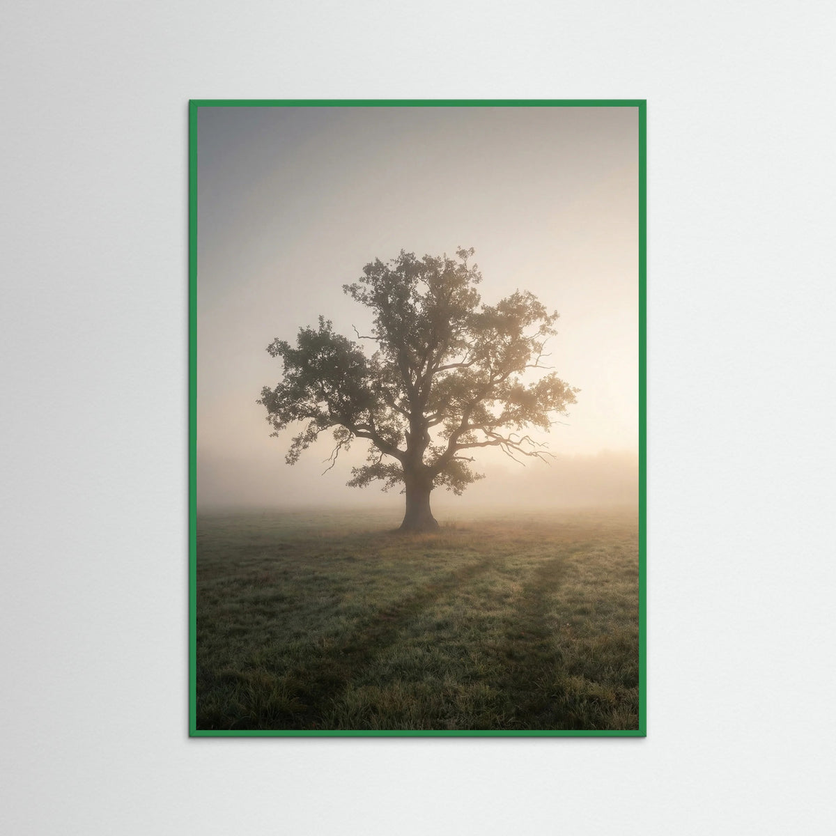 Green Wood Misty Forest Road