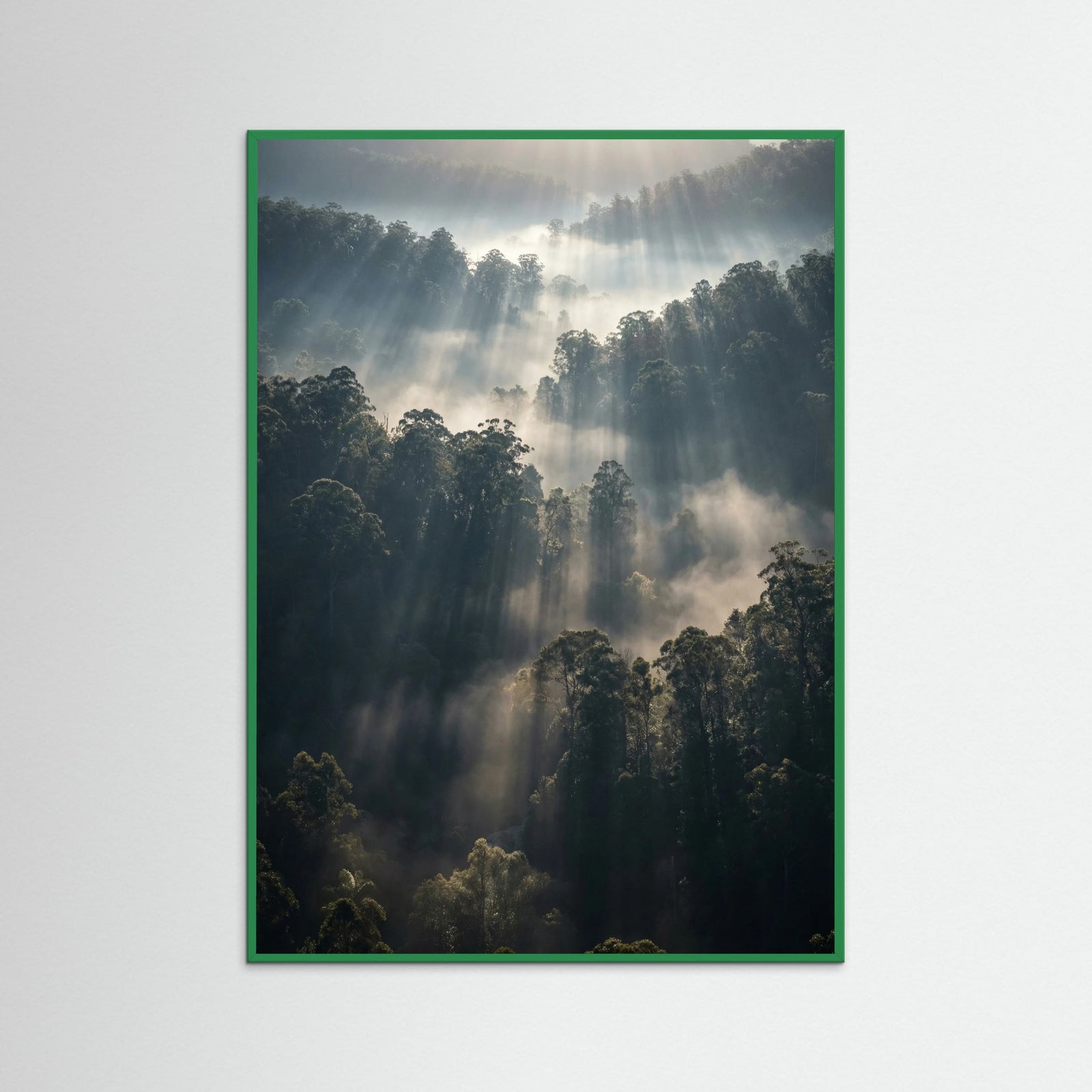 Green Wood Misty Mountain Lake