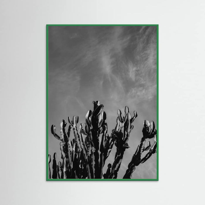 Green Wood Monochrome Cactus Sky Poster