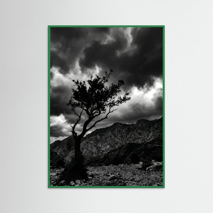 Green Wood Monochrome Seascape
