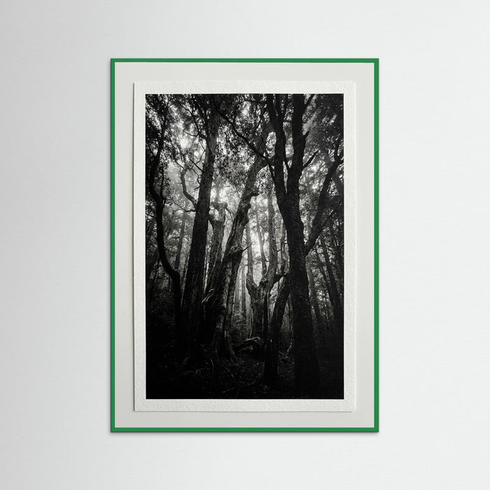 Green Wood Monolith Coast