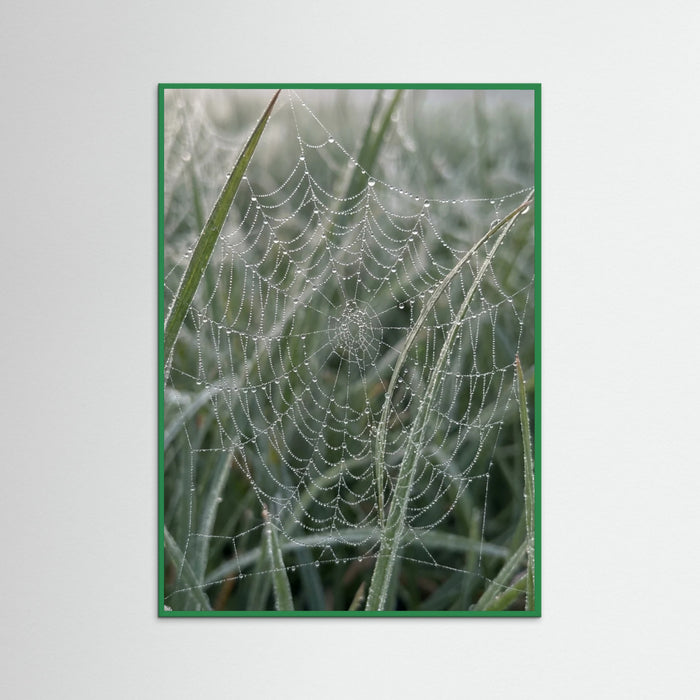 Green Wood Morning Dew