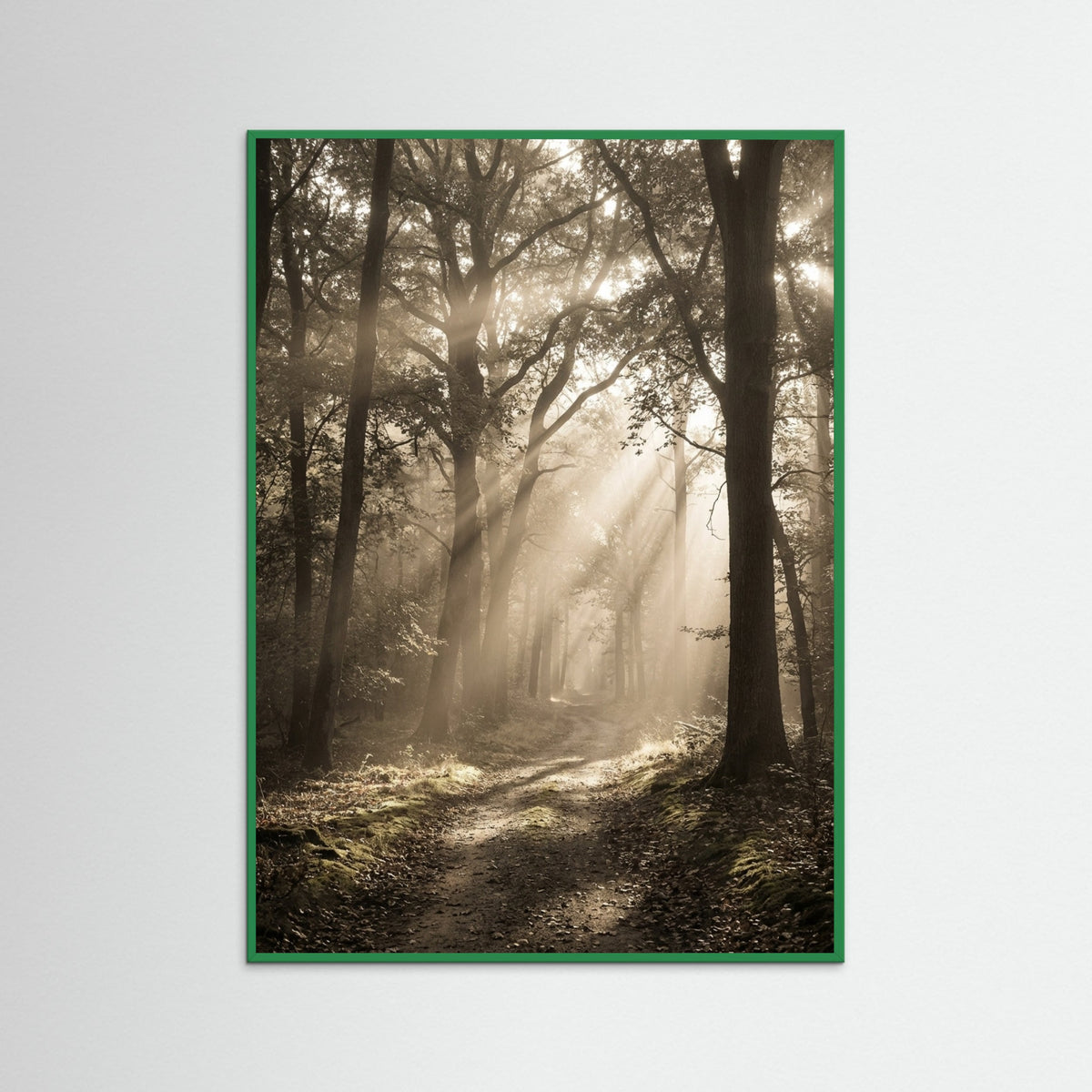 Green Wood Morning Radiance