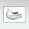 Poster Mother and Baby Sperm Whale – poster e stampa artistica