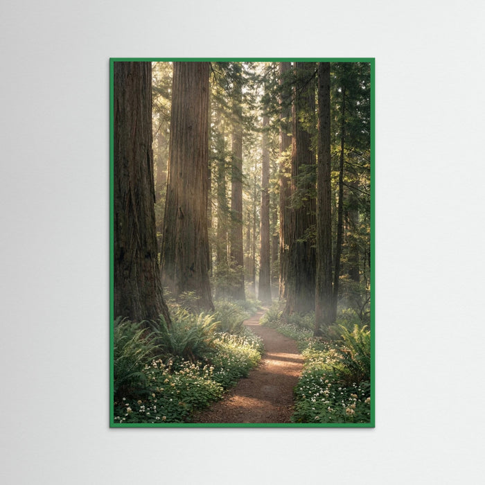 Green Wood Mountain Bloom Path
