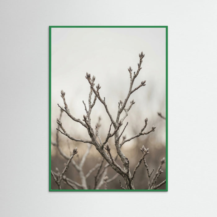 Green Wood Muted Field