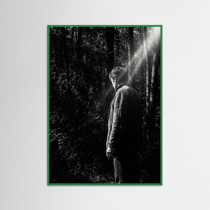 Green Wood Obscured Presence
