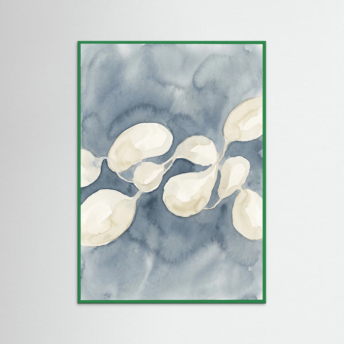 Green Wood Organic Cadence