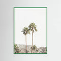 Póster Palm Springs Palms – póster e impresión artística