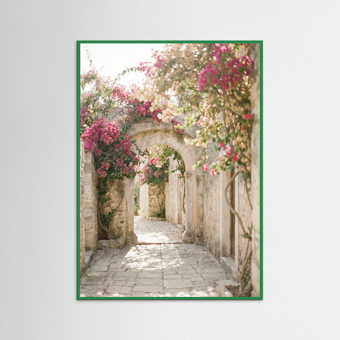 Green Wood Potted Olive Serenity