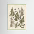 Green Wood Pressed Botanicals