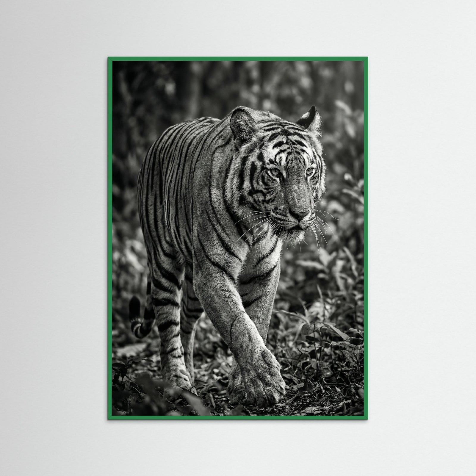 Green Wood Regal Gaze