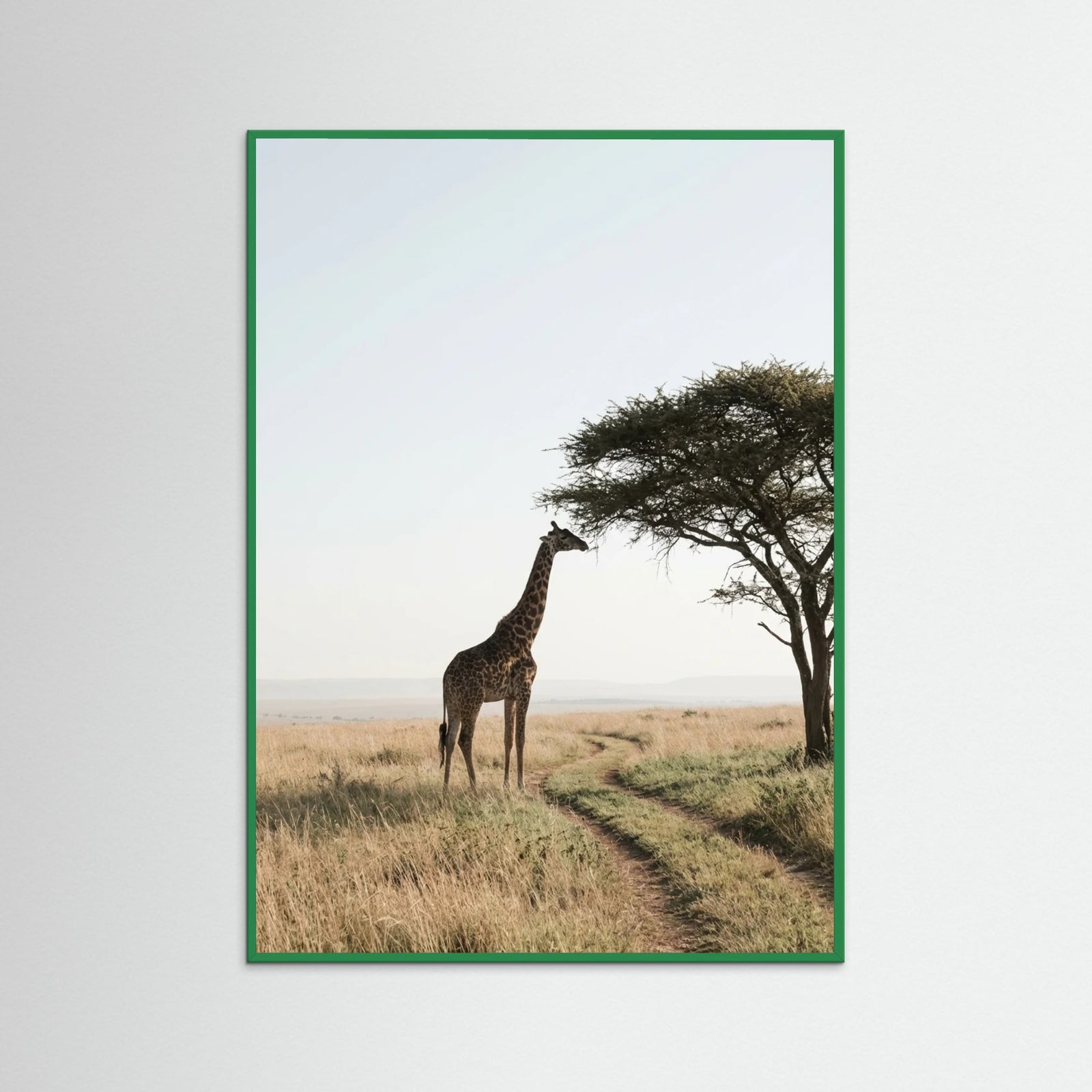 Green Wood Savanna Horizon